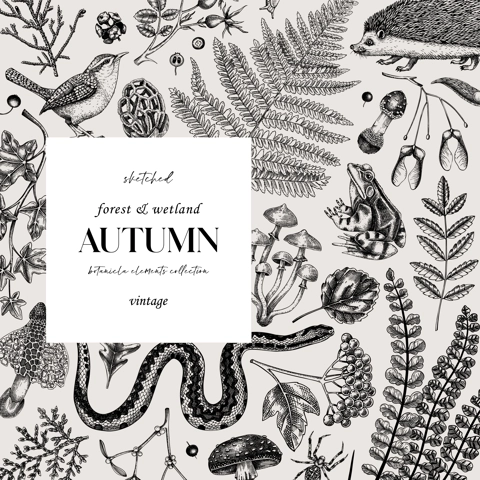 Autumn forest background. Woodland animals, fall leaves, ferns, mushrooms sketches. Fall nature backdrop. Hand-drawn vector illustration. Vintage botanical invitation or greeting card, frame design 